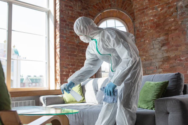 Reliable Norwood Young America, MN Mold Removal Services Solutions