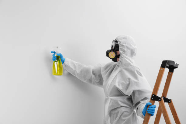 Why You Should Choose Our Mold Remediation Services in Norwood Young America, MN